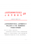 111Q24531-0-lp